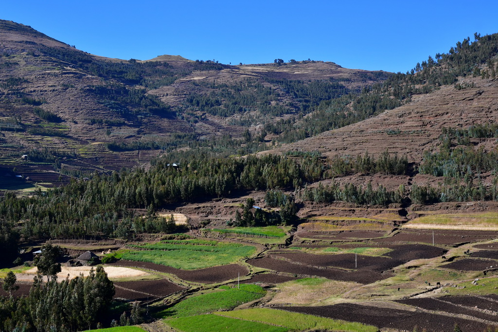 Mekele to Lalibela